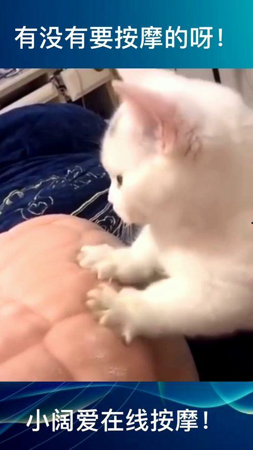 按摩小视频在线观看,跟随按摩小视频,在家享受专业级舒缓体验 第1张 按摩小视频在线观看,跟随按摩小视频,在家享受专业级舒缓体验 第1张